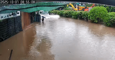 Phẫn nộ tài xế lao xe trong mưa ngập, suýt cán trúng người đi bộ ở Hà Nội