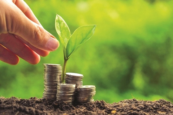 TPHCM ban hành quy chế xét chọn danh hiệu “Doanh nghiệp Xanh”