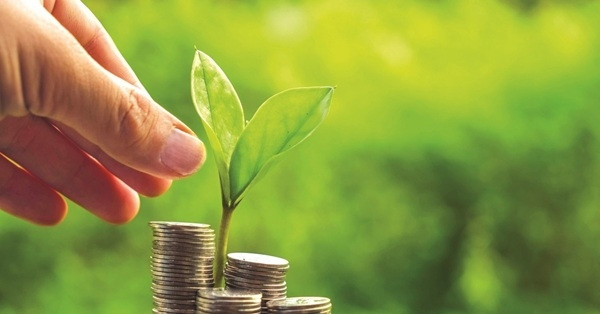 TPHCM ban hành quy chế xét chọn danh hiệu “Doanh nghiệp Xanh”