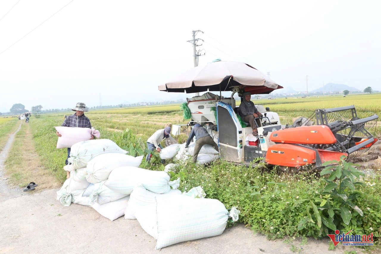 W-anh pu nhi chuan.jpg