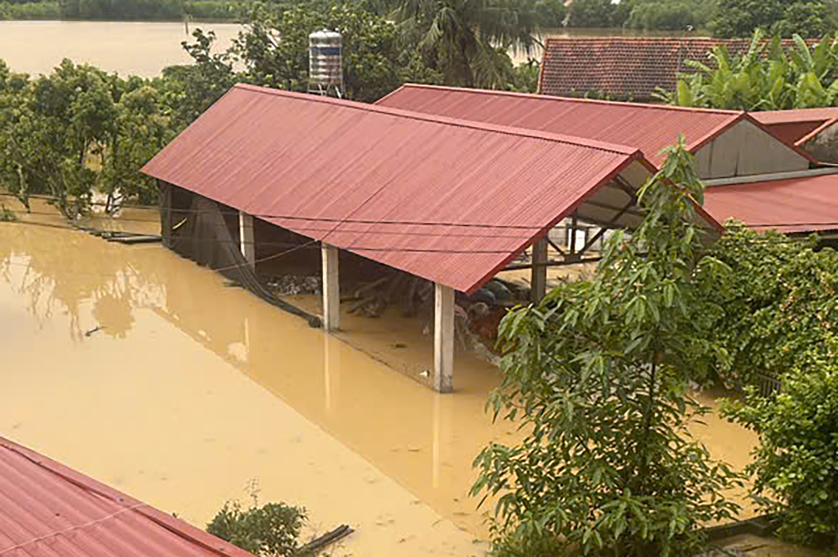 898c7877 3883 44a2 9d5d 7af5615466e3.jpeg