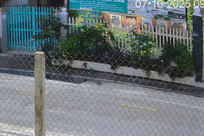 Bị giật 140 tờ vé số, bé trai hoảng loạn đạp xe đuổi theo rồi ngã nhào giữa đường