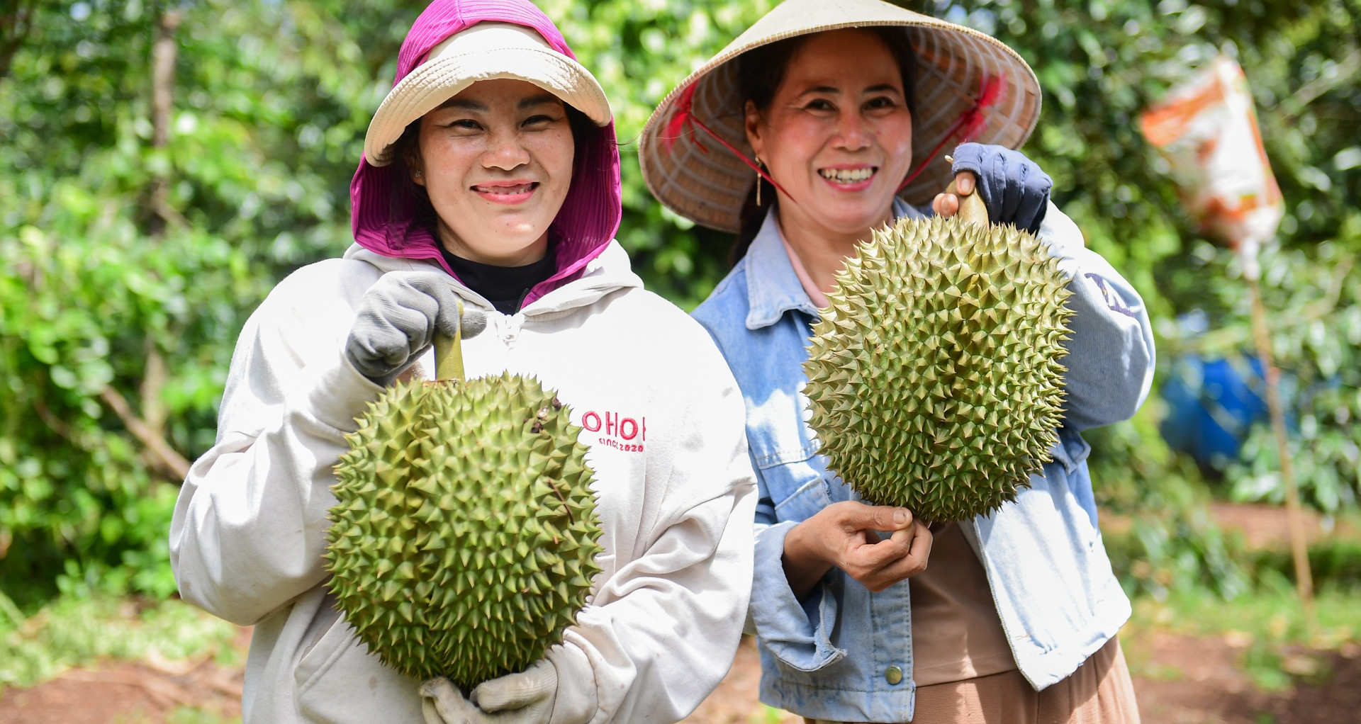 Trung Quốc chi hơn 1 tỷ USD mua rau quả Việt chỉ trong 1 tháng