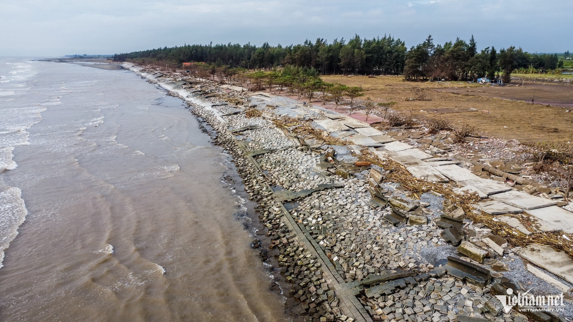 W-Kè rạng đông_1.jpg