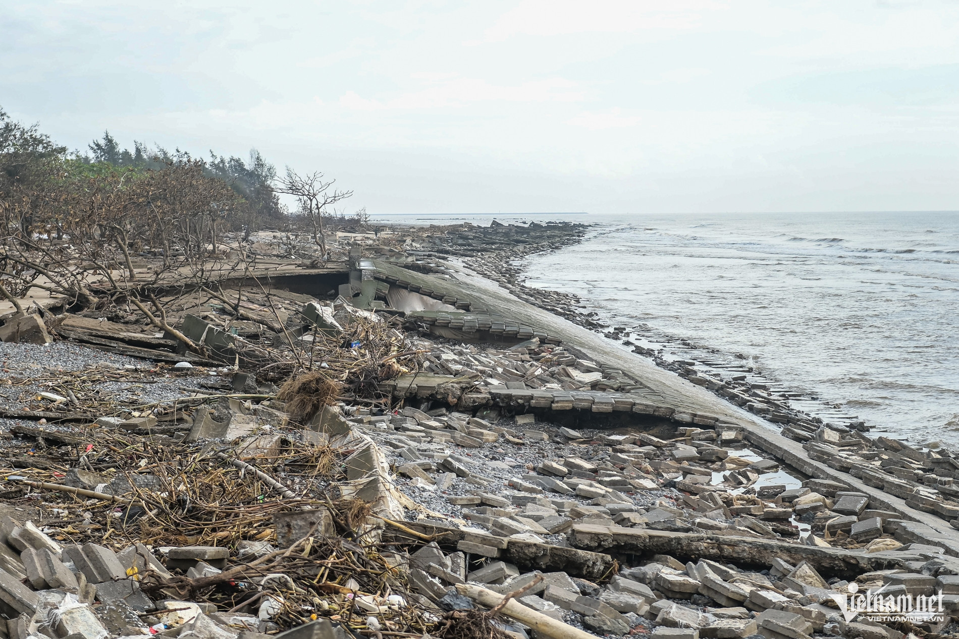 W-Kè rạng đông_11.jpg