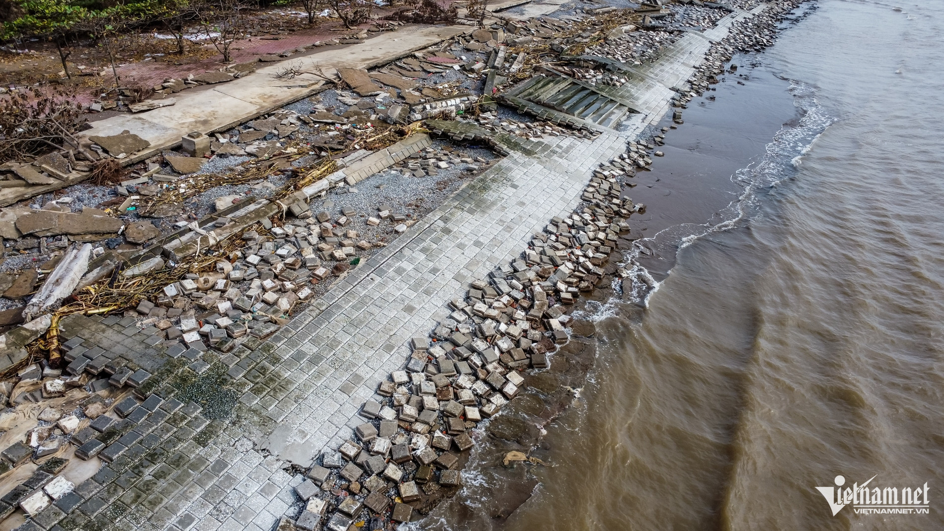 W-Kè rạng đông_3.jpg