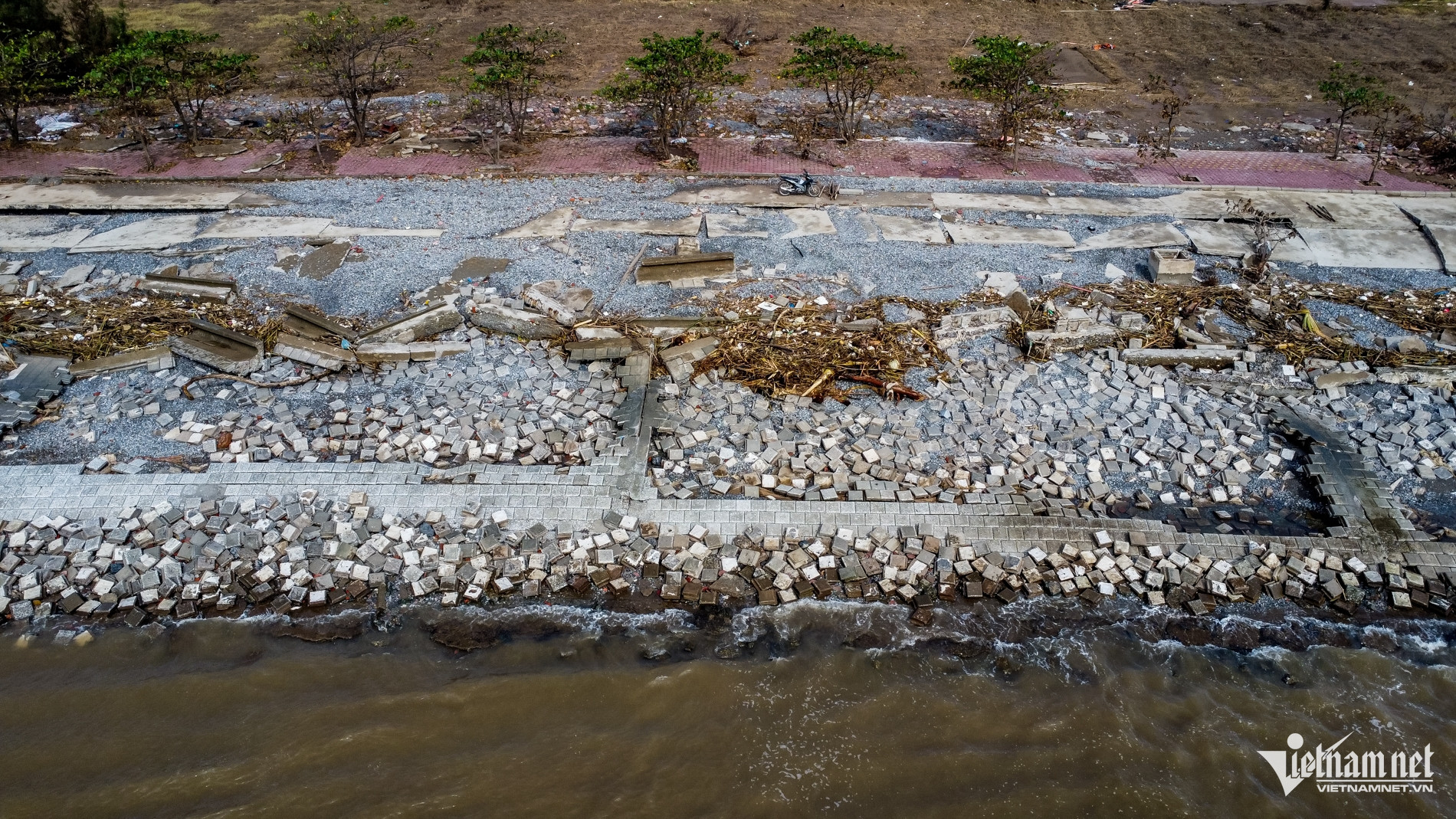 W-Kè rạng đông.jpg