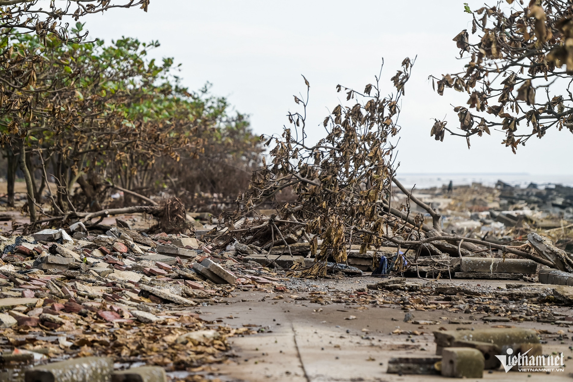 W-Kè rạng đông_8.jpg