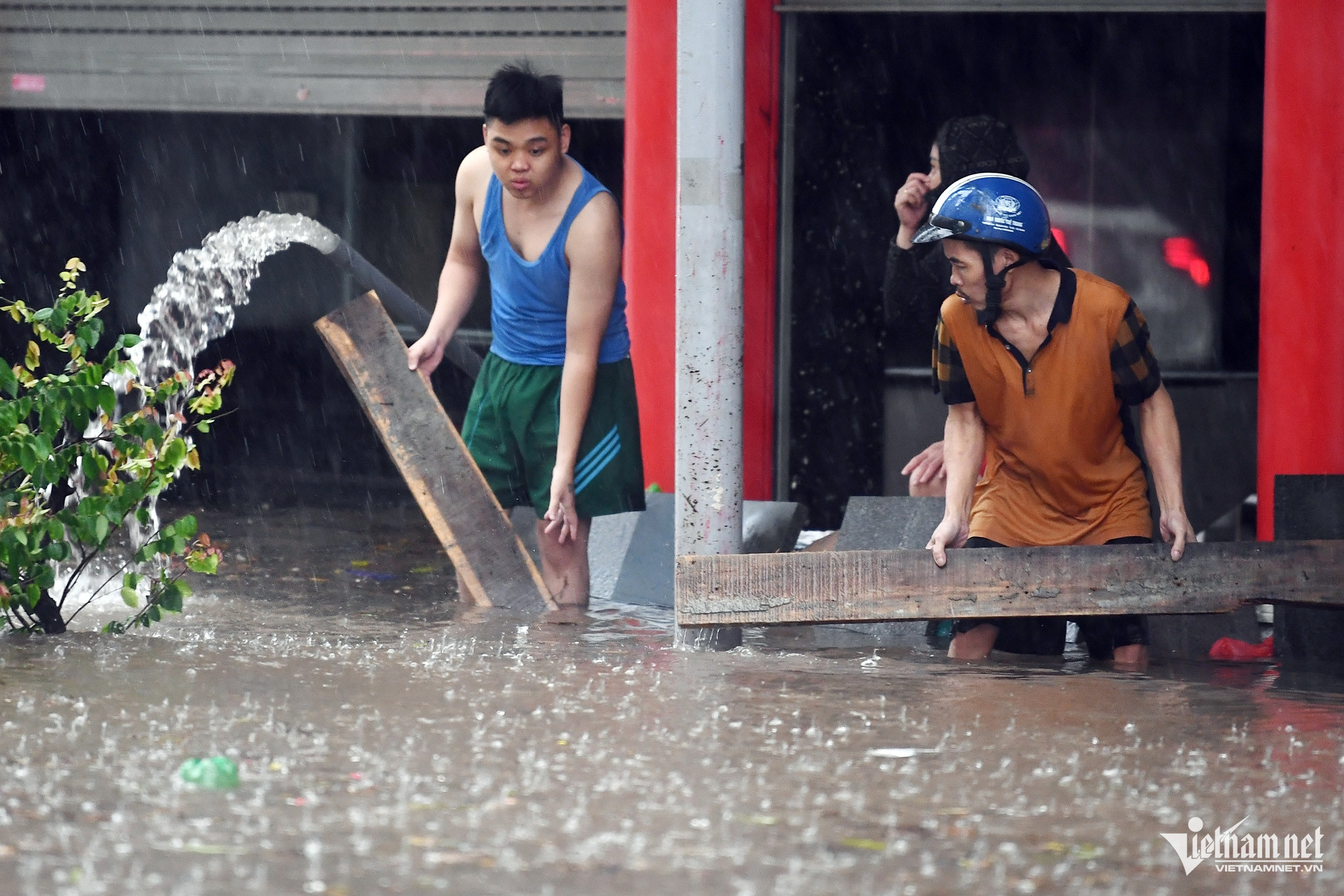 W-ngap sau bao Matmo_33.jpg