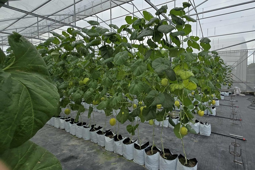 Cao Bằng: Chuyển biến toàn diện và rõ nét từ xây dựng nông thôn mới