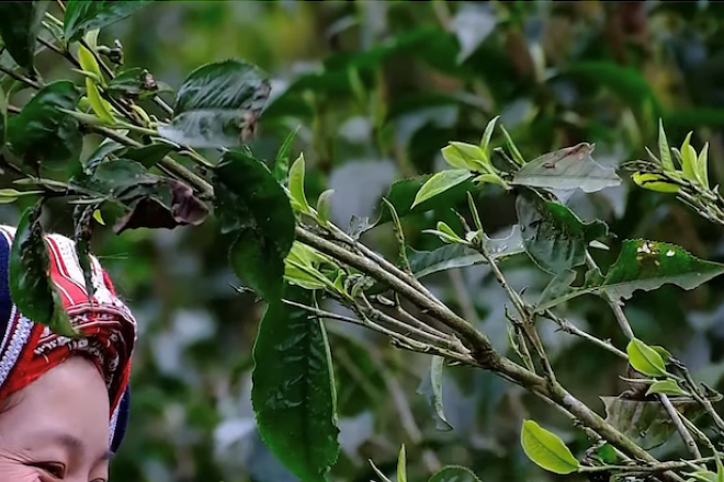 Khẳng định cam kết thúc đẩy Chương trình “Phụ nữ, hòa bình và an ninh”