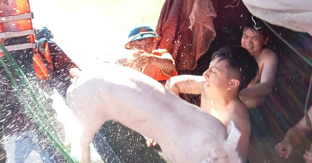 Nước lũ sông Cầu dâng cao, hơn 5.000 người ở Hà Nội bị cô lập