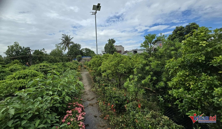 W-09d7903d 3def 48da b6eb 6b9903b644e0.jpg