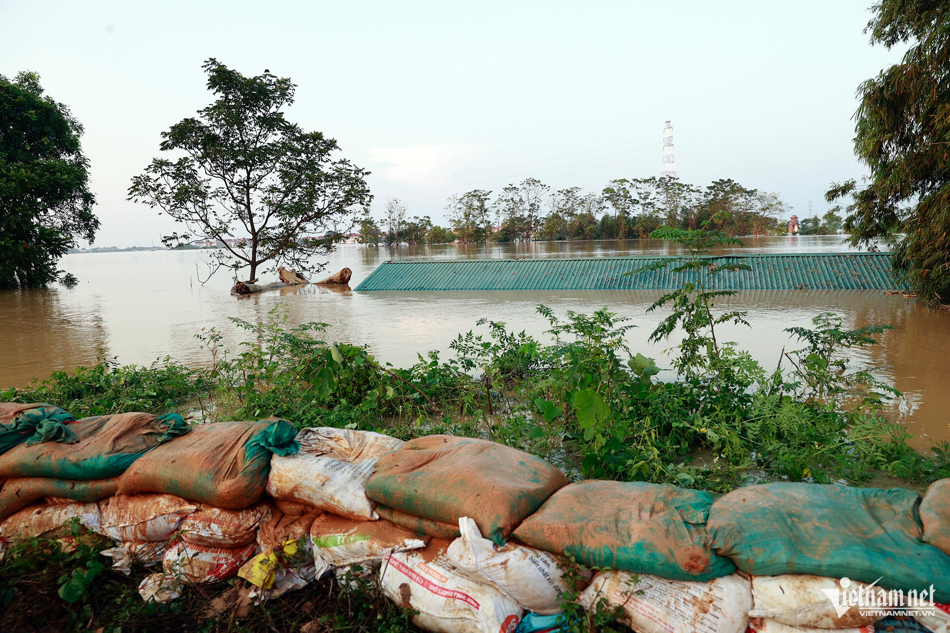 W-7 Da Phuc _8644.jpg