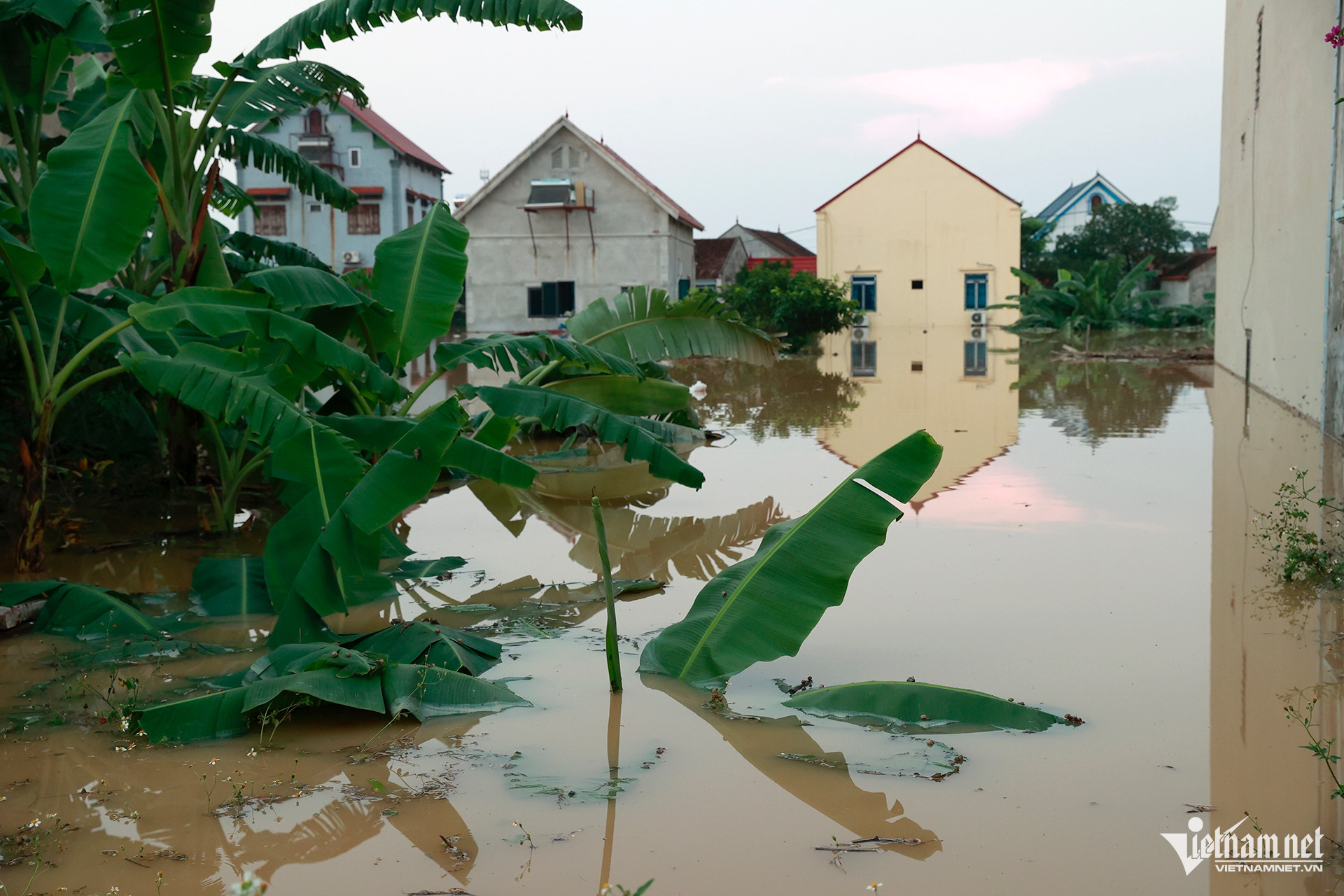 W-8 Da Phuc _8735.jpg