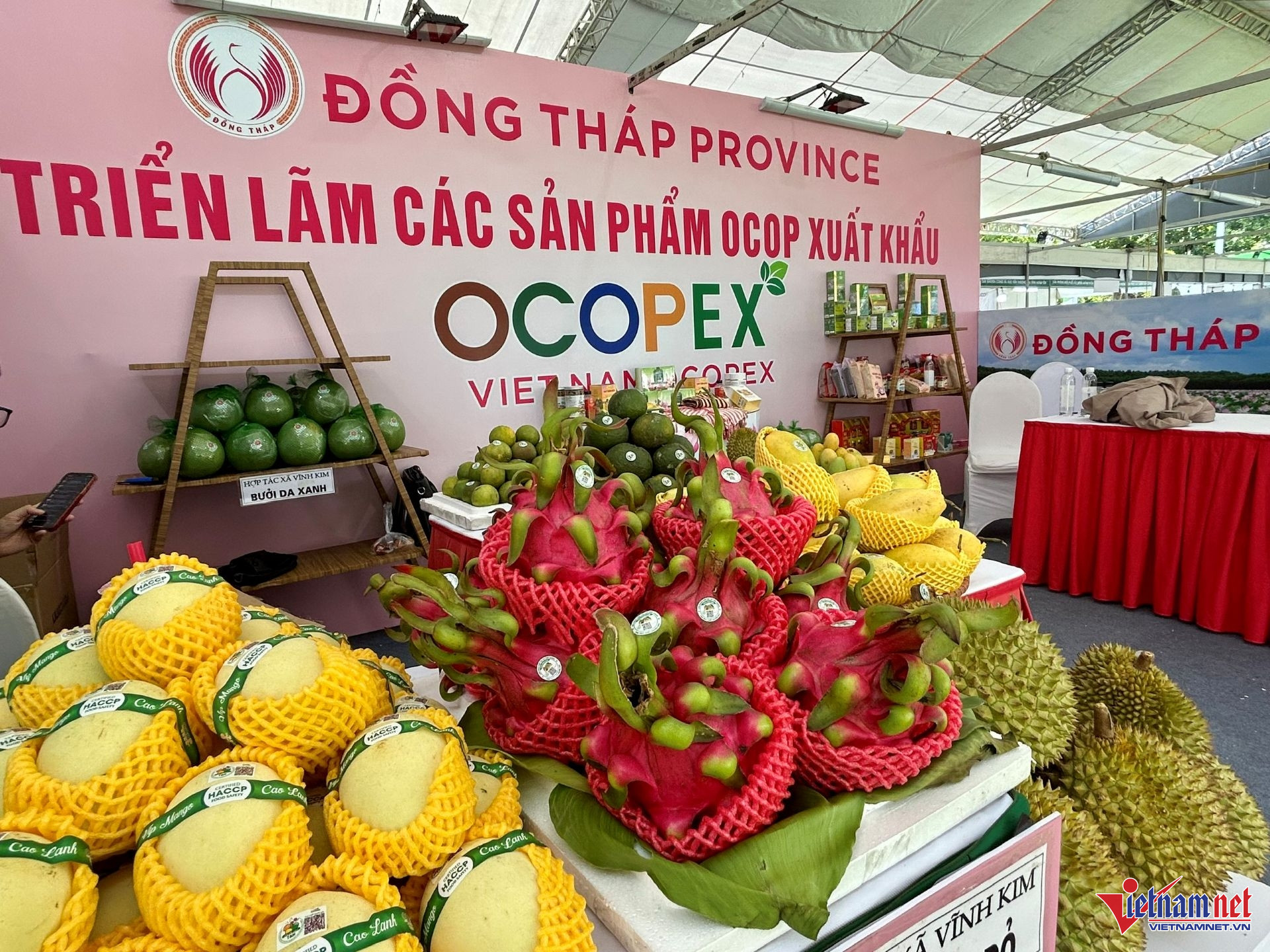 W-Chính luận 4 OCOP.jpg