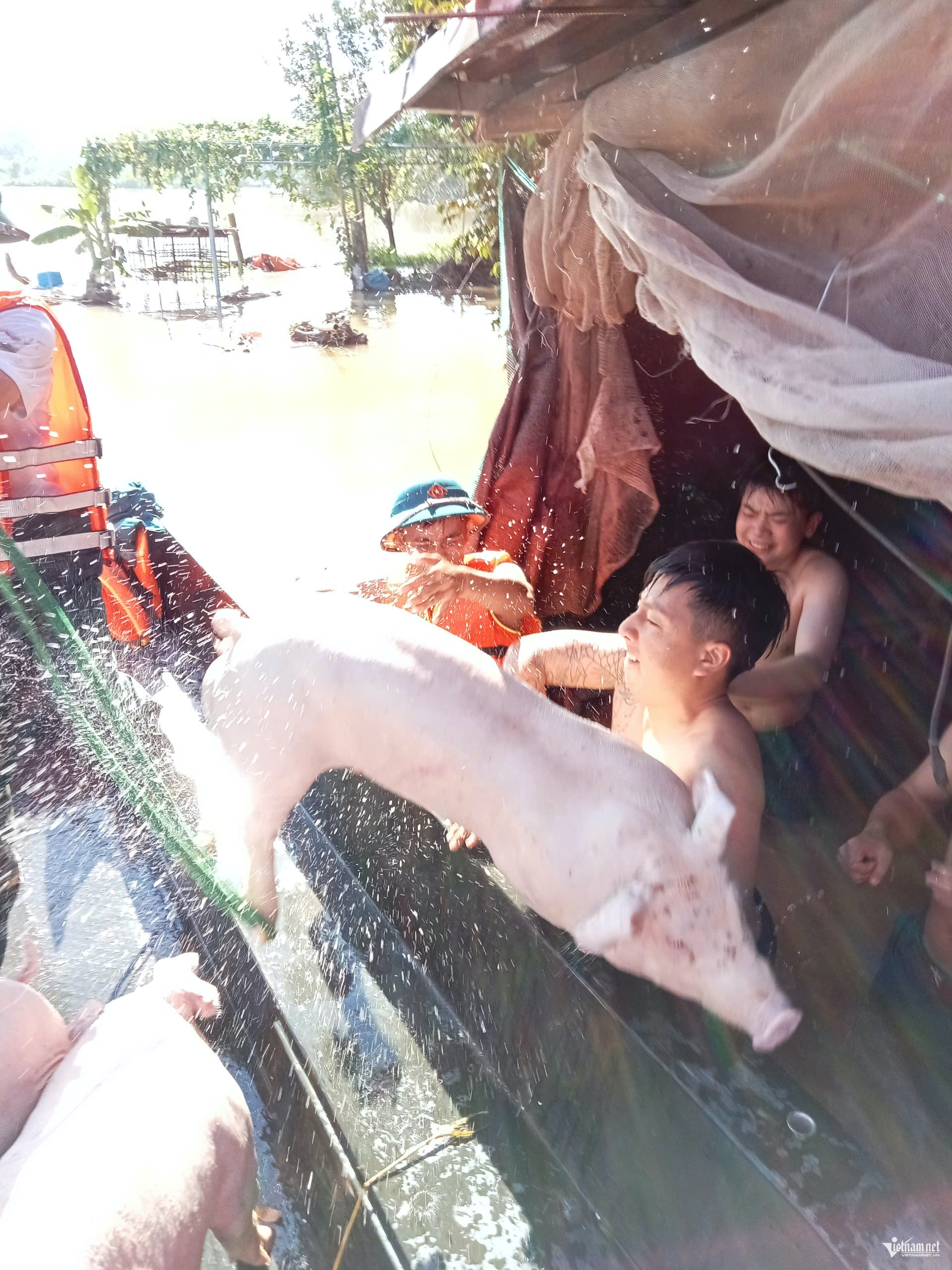 W-Chuyển lơn .jpeg