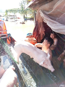 W-Chuyển lơn .jpeg