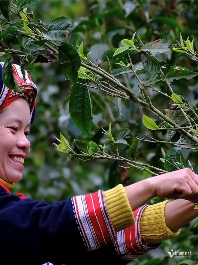 W-Phụ nữ vn1.png