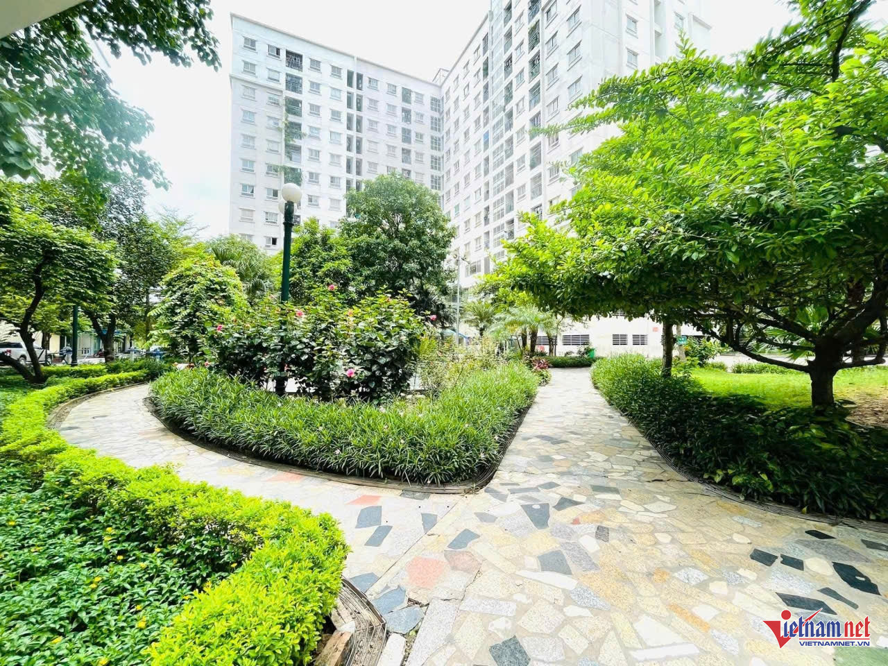 W-thi nhà ở xã hội.jpg