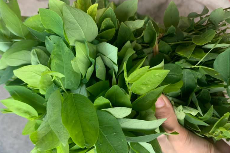 Loại rau được khuyên ăn thay đạm động vật, nhiều sắt hơn cả thịt bò