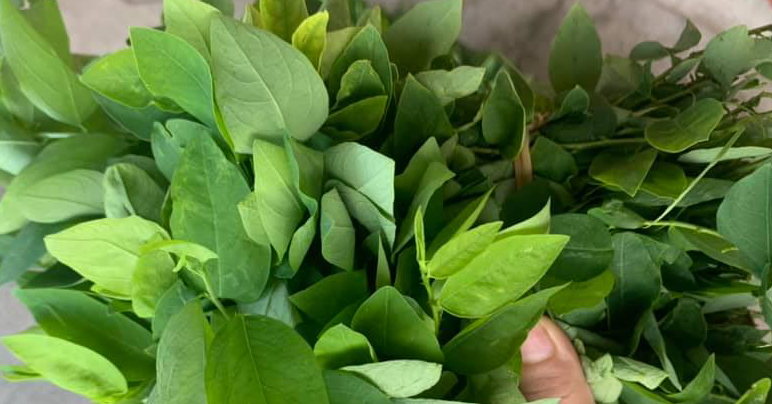 Loại rau được khuyên ăn thay đạm động vật, nhiề...