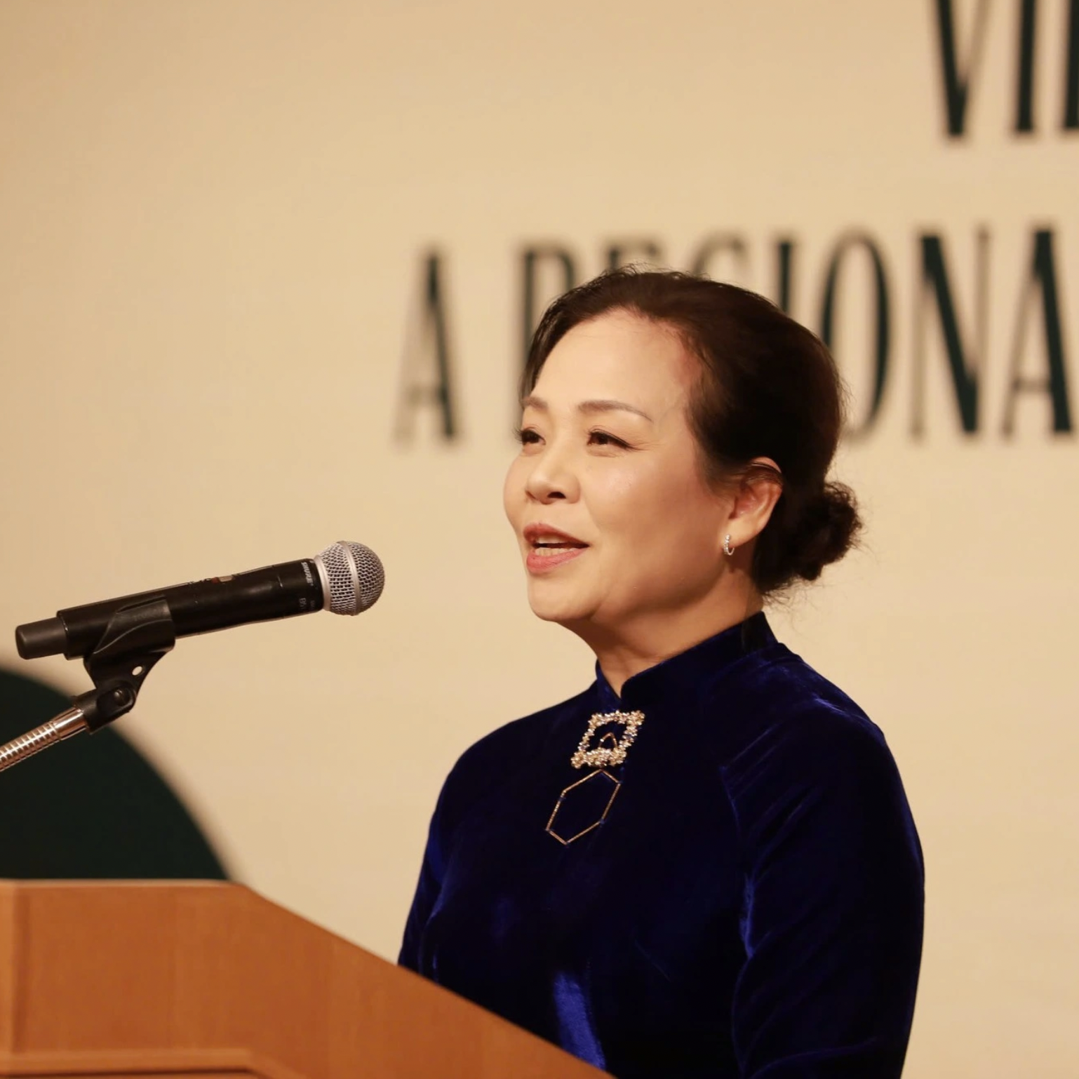 TS Ngô Phương Lan phát biểu đề dẫn hội thảo .png