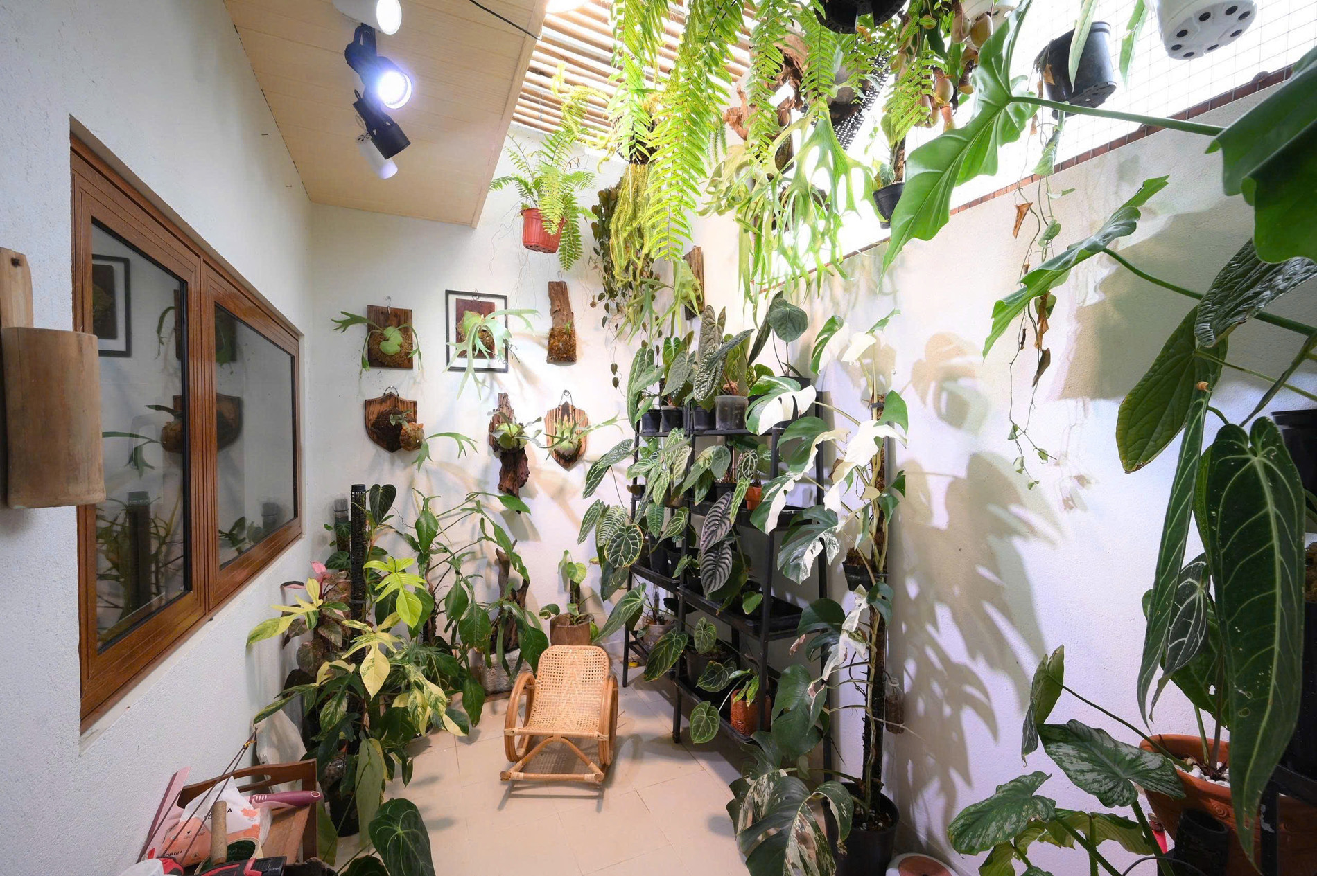 vợ chồng Đà Nẵng dựng căn nhà trống phố đẹp mê 02.jpg