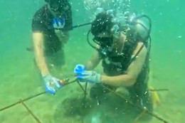 5fd1fd45 3eac 4cc8 9d89 3bdae7093637.jpeg