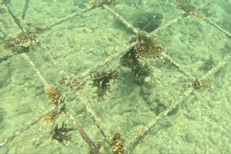 ac558af9 9cf1 4cb5 8d68 aaf952c3cc23.jpeg