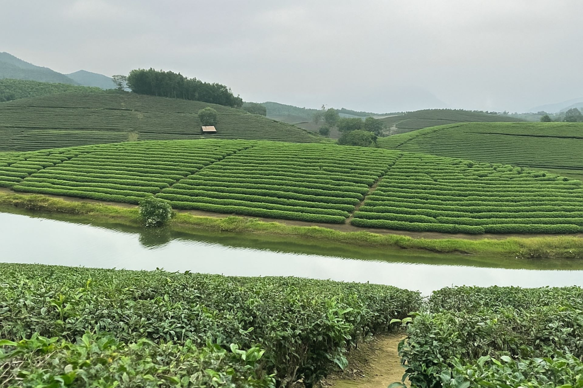 Du lịch nông thôn tạo sinh kế bền vững và diện mạo mới cho vùng quê xứ Nghệ