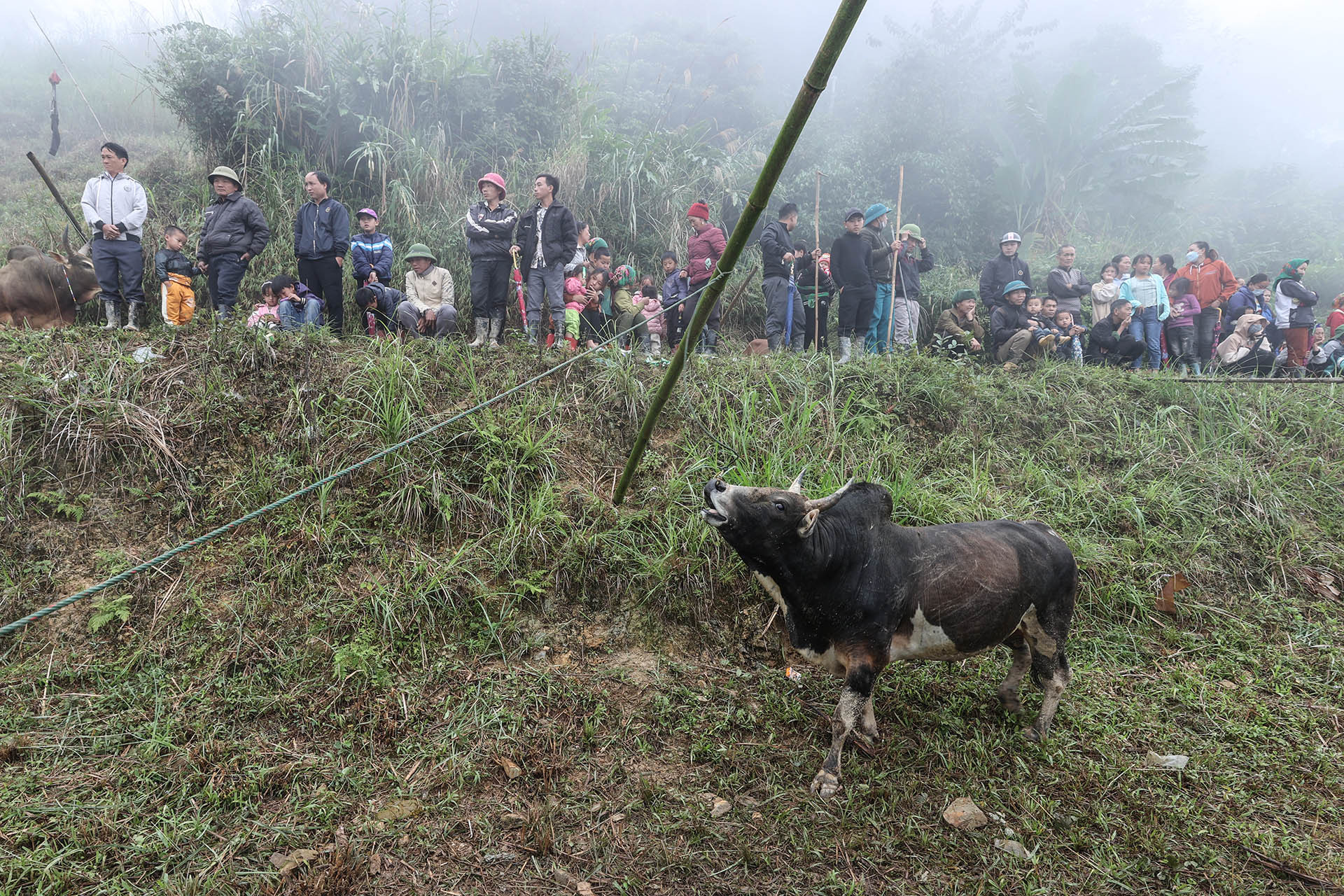 Hội bò chận 14.jpg