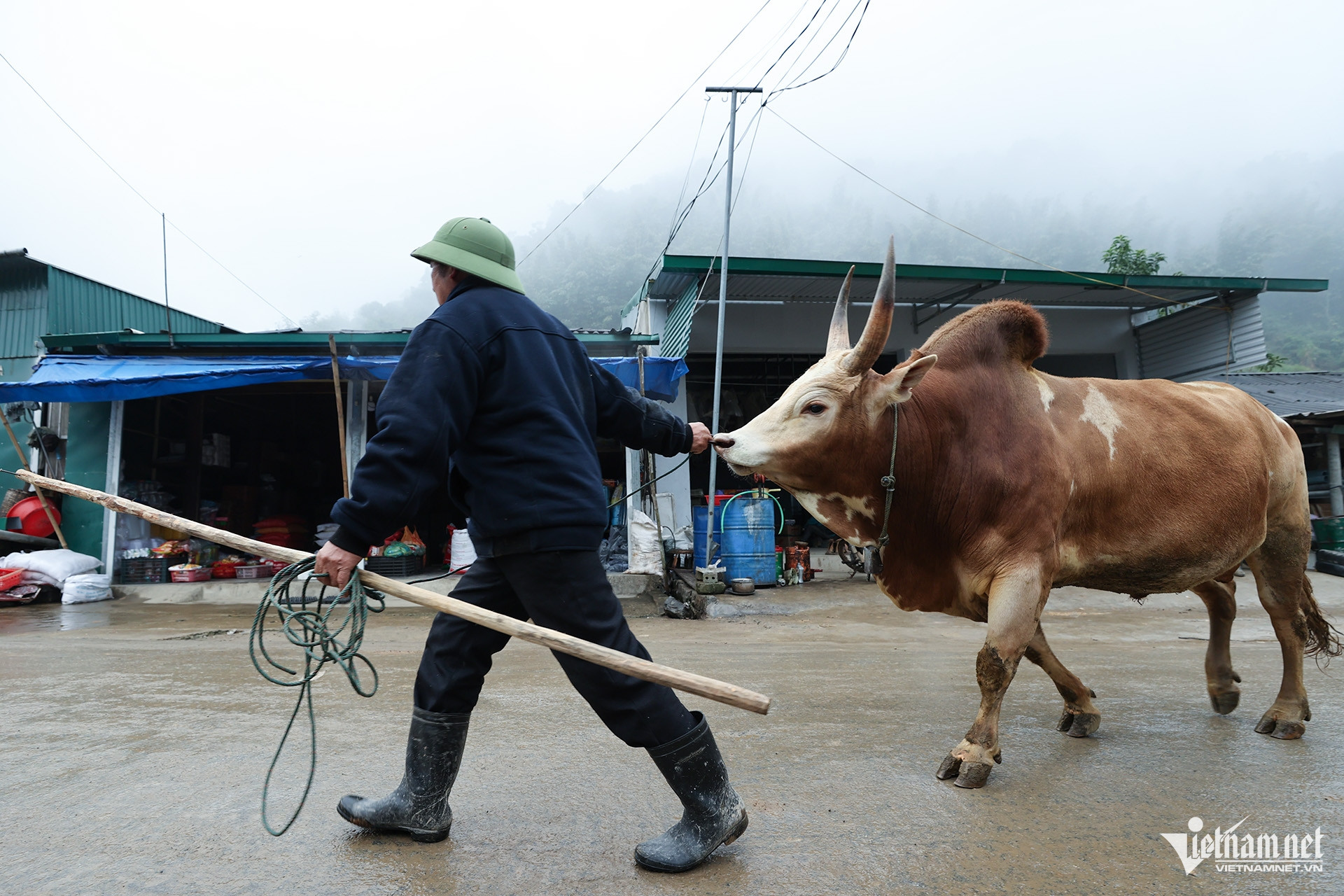 W-Hội bò chận 1.jpg