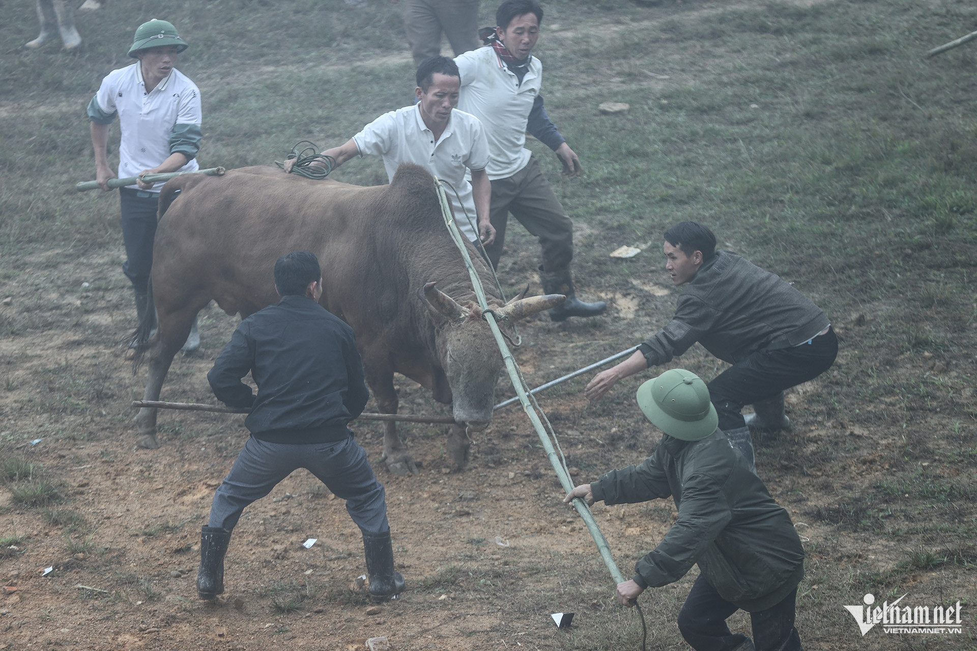 W-Hội bò chận 10.jpg