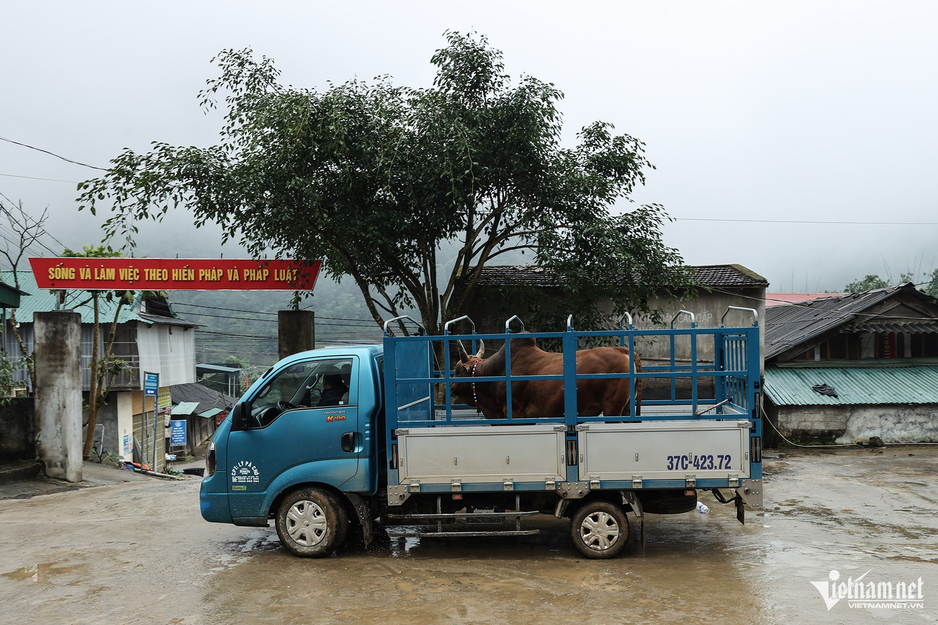 W-Hội bò chận 2.jpg