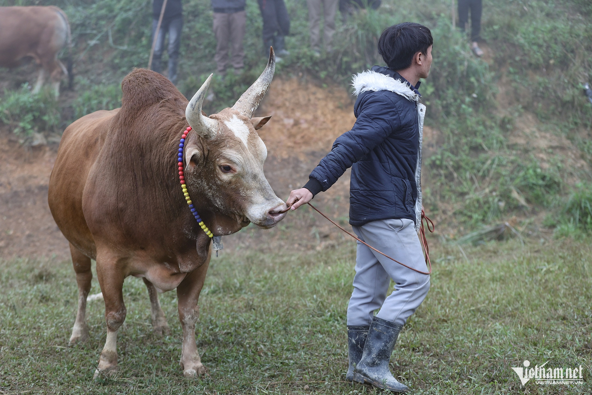 W-Hội bò chận 6.jpg