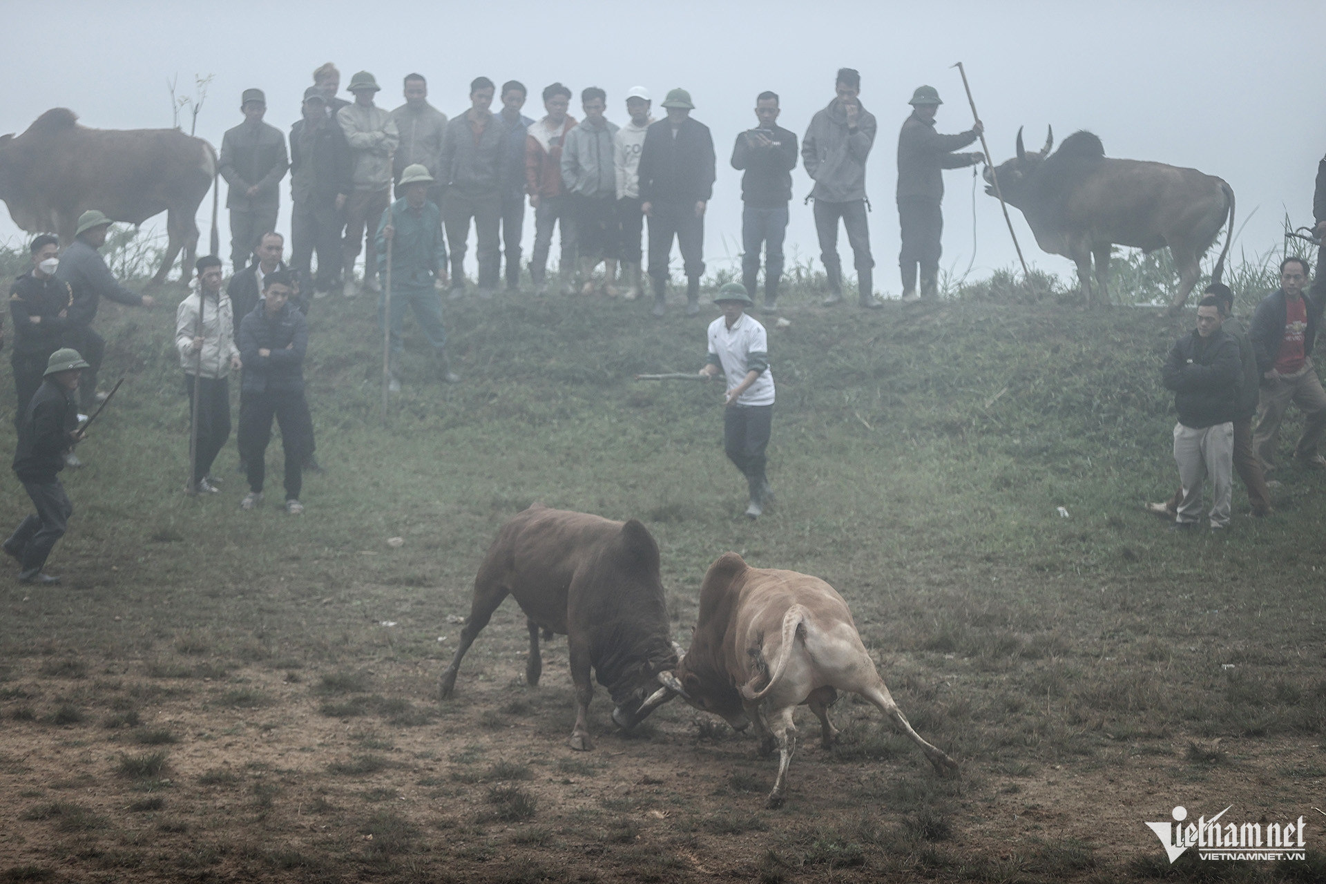 W-Hội bò chận 7.jpg