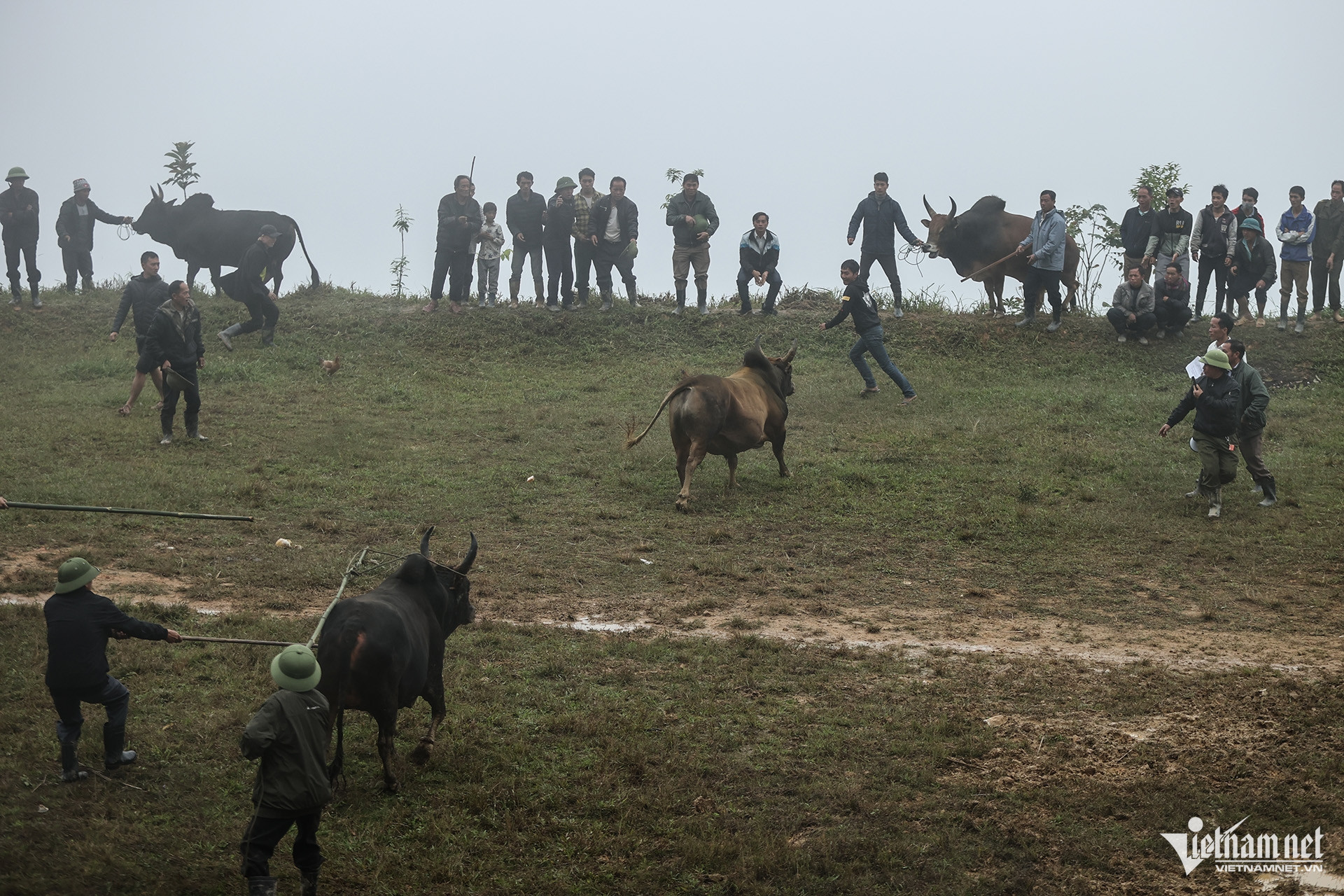 W-Hội bò chận 9.jpg