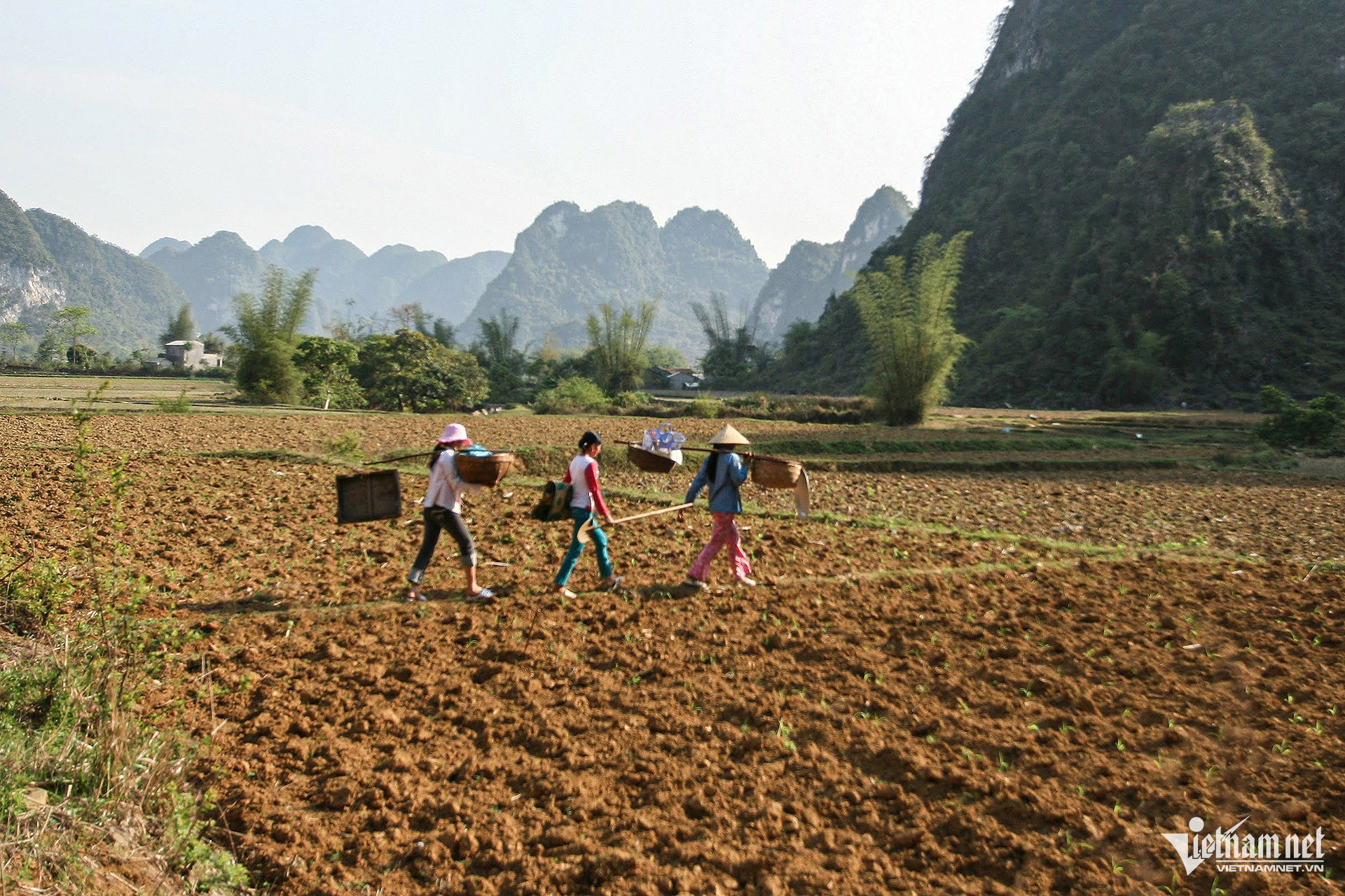 W-Tết Thanh minh dân tộc Tày, Nùng 2.jpg