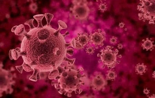 7937ed15 584f 4231 a93b 8859130f9795 Virus HPV la gi.webp