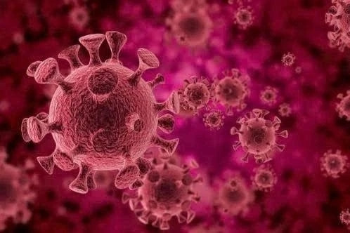 Virus HPV gây ung thư ở phụ nữ đang 'tấn công' sang nam giới