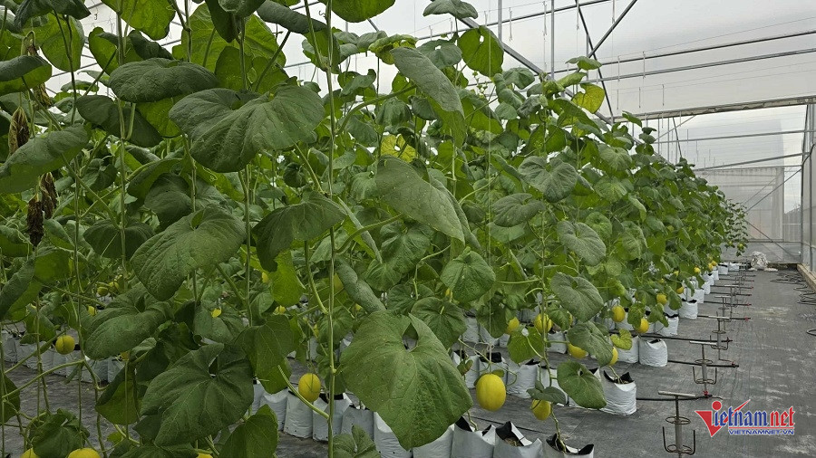 W-01e13dbb e640 4555 9256 a734367e8f60.jpg