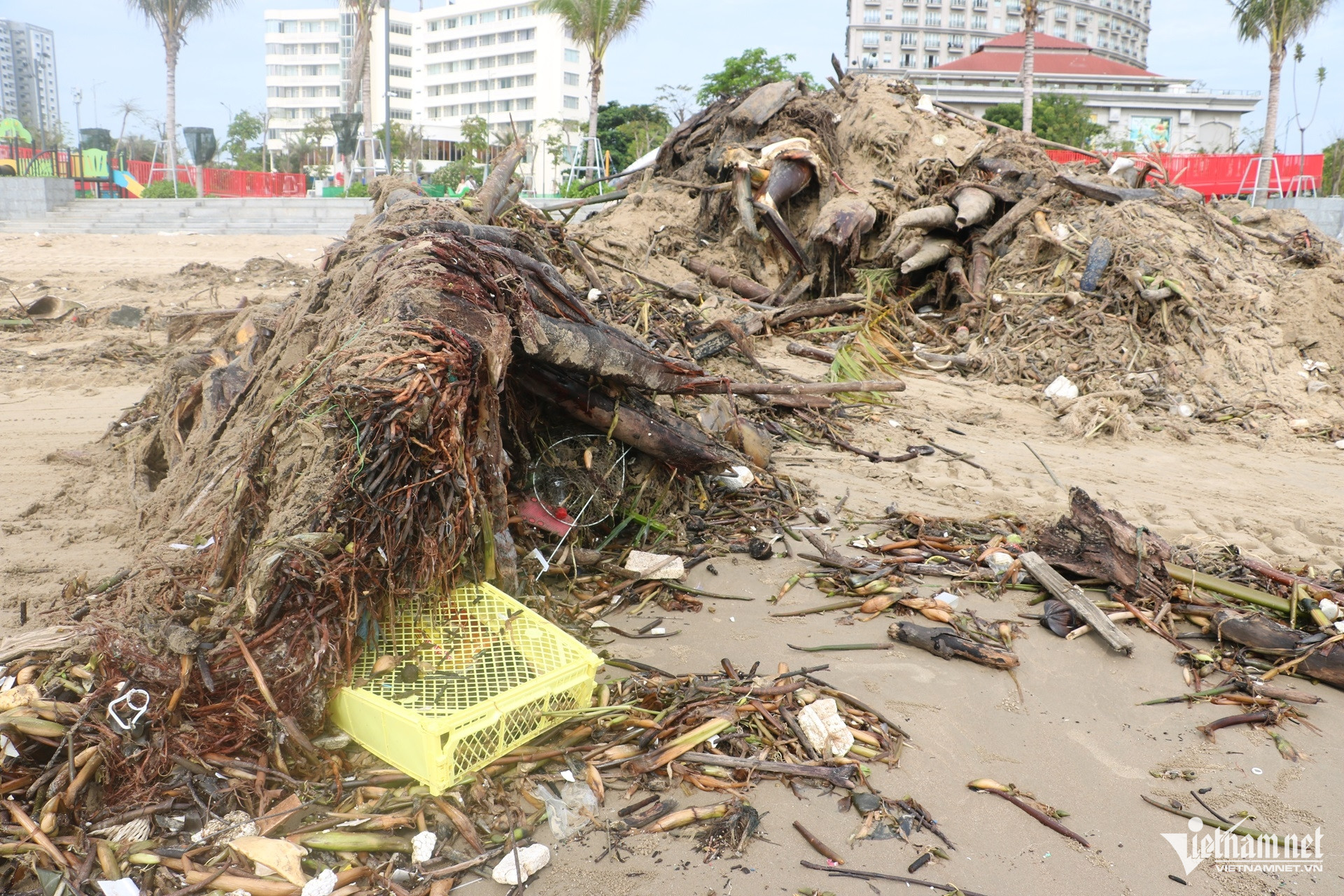 W-rác trôi vào bờ biển vũng tàu 1.JPG.jpg