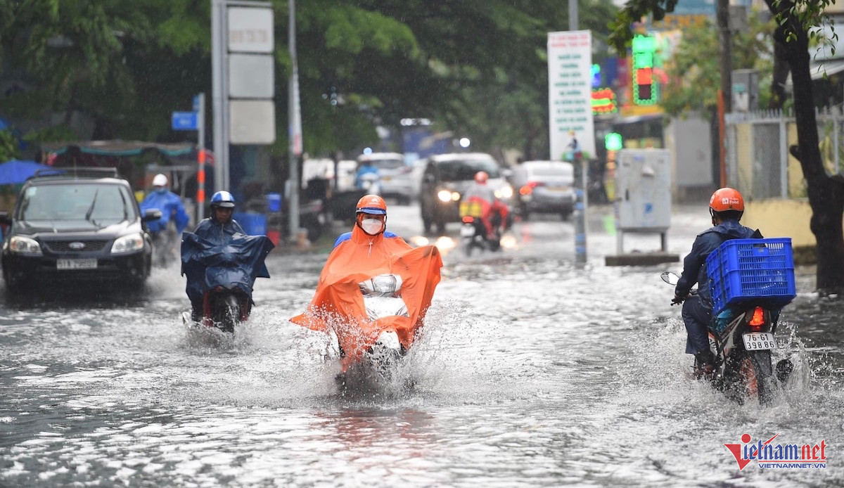 W-thảo điền.jpg
