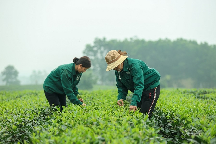 Các cấp Hội Nông dân Thái Nguyên tăng cường truyền thông về nông thôn mới