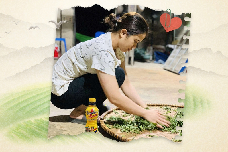 Cô gái Tủa Chùa thắp lửa đam mê cho giấc mơ trà Shan tuyết Việt Nam