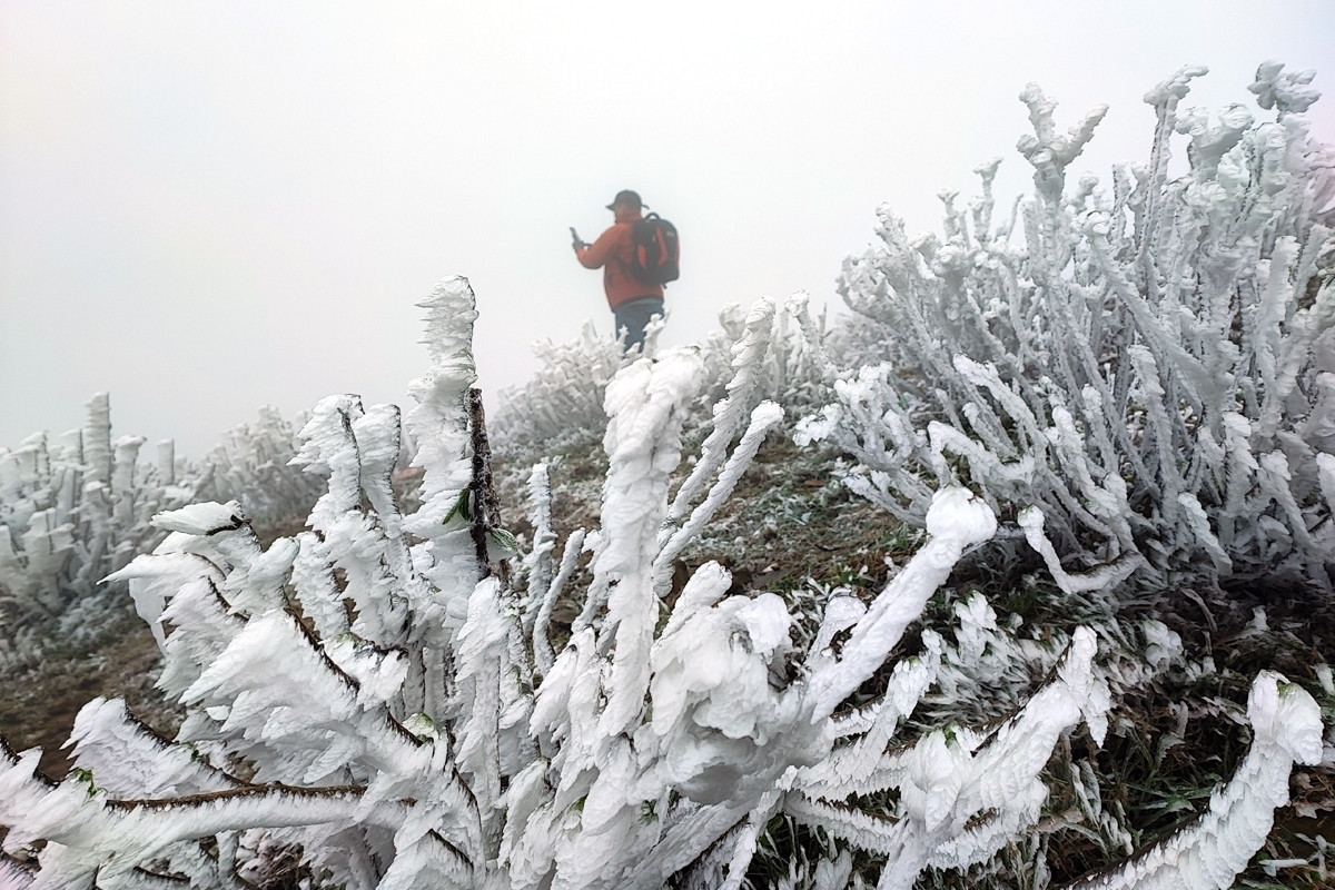Không khí lạnh mạnh: Miền Bắc có thể xuất hiện sương muối, Trung Bộ mưa lớn