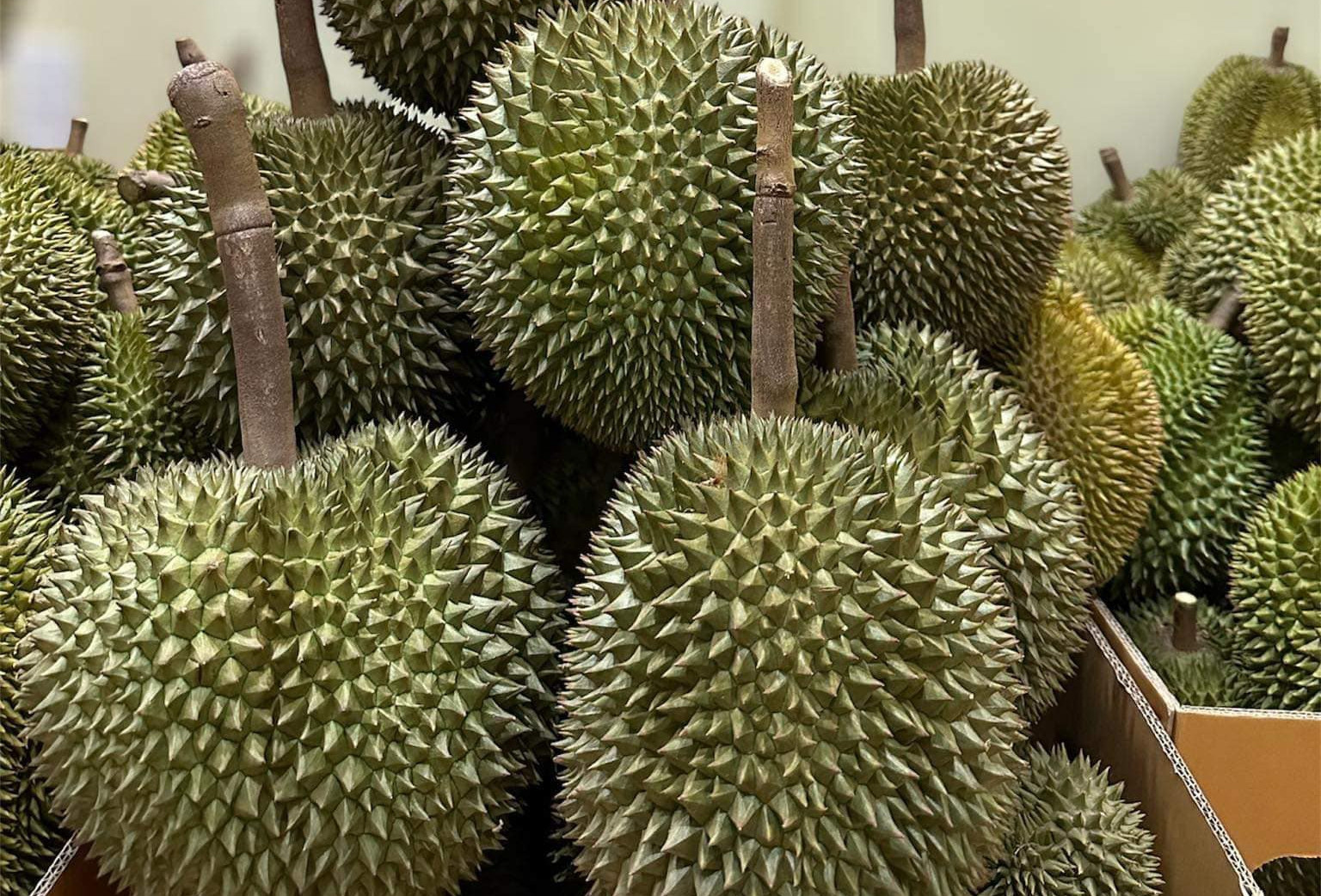 Sầu riêng Việt Nam xuất khẩu kỷ lục, nhập khẩu vẫn tăng gấp 16 lần