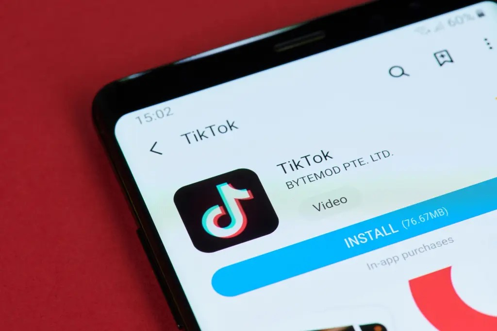 tiktok chatbot