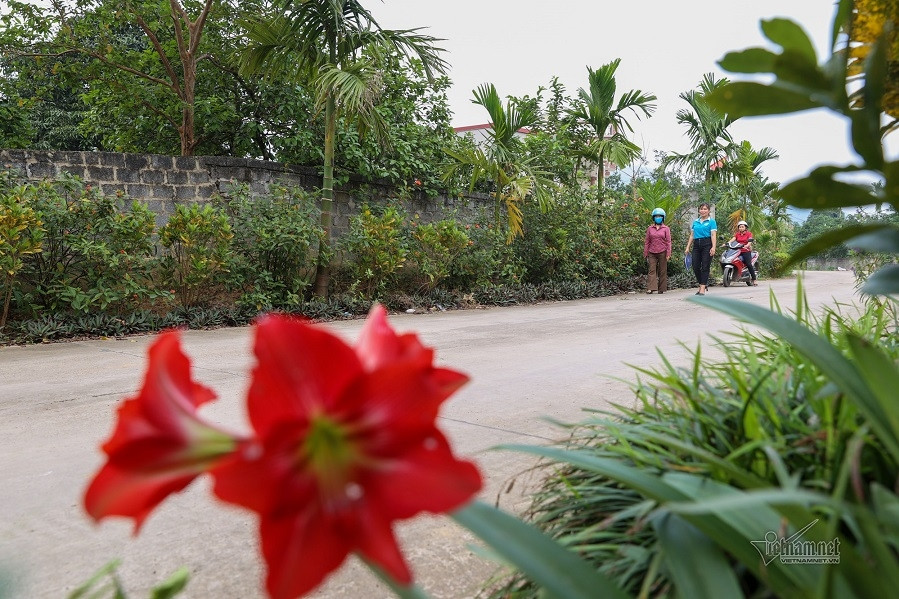 Tuổi trẻ xã Biển Bạch xung kích xây dựng nông thôn mới nâng cao